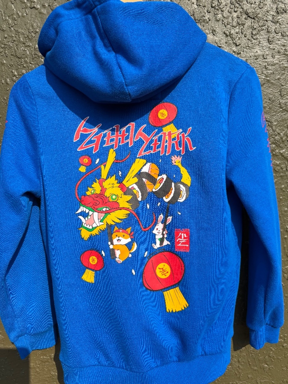 Youth Zoo York blue graphic hoodie size L